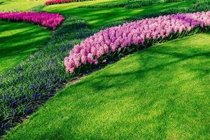 rabatt av vårblommor i parken foto