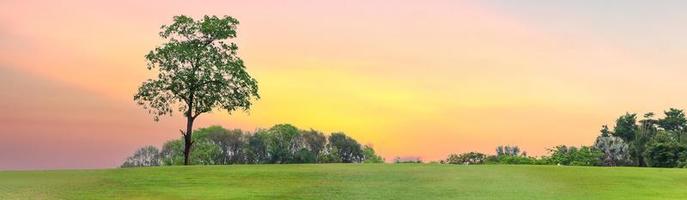 vårlandskap - grön äng kvällshimmel och solnedgång, banner foto