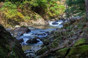 utsikt längs glaslynfloden på hösten foto