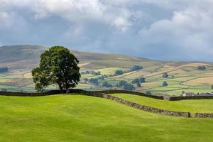 utsikt över de böljande kullarna i yorkshire dales nationalpark nära hawes foto