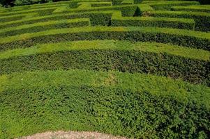 labyrint i botaniska trädgården foto