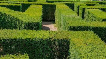 labyrint i botaniska trädgården foto