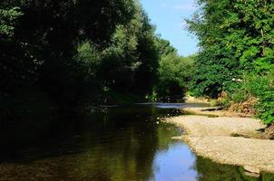 idyllisk bäck i naturen foto