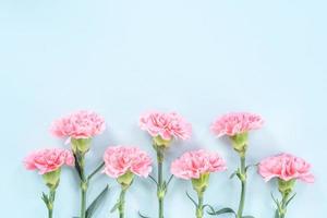 vackra blommande rosa nejlikor isolerade på ljus ljusblå bakgrund, kopia utrymme, platt lay, ovanifrån, mock up, maj mors dag idé koncept fotografering foto