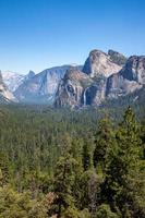 skogklädd dal i Yosemite på en sommardag foto