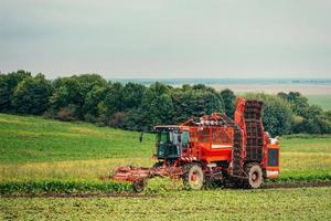 röd traktor på ett grönt fält foto