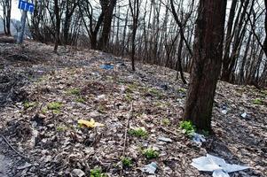 förorening av naturen tema. sopor i skogen nära vägen. foto