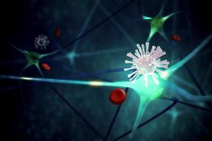 virus sprids med neuronceller. foto