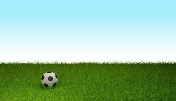 fotboll på gräsplan, foto