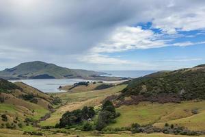 otagohalvön Nya Zeeland foto