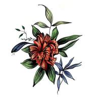 akvarell skiss av en röd blomma foto