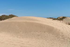 utsikt över sanddynerna nära maspalomas gran canaria foto