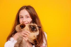 tonårsflicka med en katt i famnen. flicka på en gul bakgrund. foto