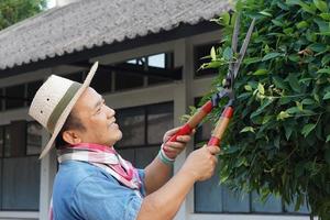 Asiatisk medelålders man använder en beskärningssax för att klippa och ta hand om busken och ficusträdet i sitt hemområde, mjukt och selektivt fokus, fritidsaktivitetskoncept. foto
