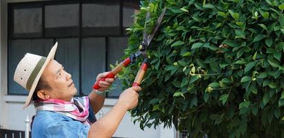 Asiatisk medelålders man använder en beskärningssax för att klippa och ta hand om busken och ficusträdet i sitt hemområde, mjukt och selektivt fokus, fritidsaktivitetskoncept. foto