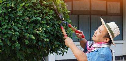 Asiatisk medelålders man använder en beskärningssax för att klippa och ta hand om busken och ficusträdet i sitt hemområde, mjukt och selektivt fokus, fritidsaktivitetskoncept. foto