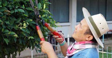 Asiatisk medelålders man använder en beskärningssax för att klippa och ta hand om busken och ficusträdet i sitt hemområde, mjukt och selektivt fokus, fritidsaktivitetskoncept. foto