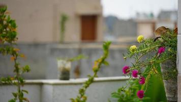 vacker hembakgrund med blommor foto