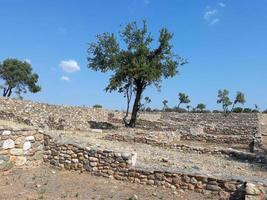 olynthus ruiner i Chalkidiki foto