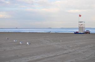 venezia lido strand foto