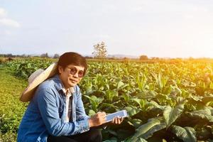 asiatisk trädgårdsgenetiker arbetar på en lokal tobaksfarm för att lagra data om plantering, odlingsutveckling och växtsjukdomar på eftermiddagen, mjukt och selektivt fokus. foto