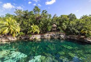 Mexiko turistmål, cenote casa tortuga nära tulum och playa del carmen foto