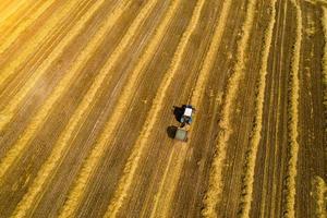 lantbruksarbete med att slå hö - en gammal traktor med spår av rost tar bort tidigare hö och bildar runda vargar av halm. flygperspektiv. foto