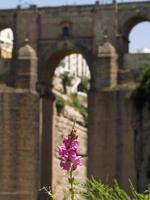 ronda, Andalusien, Spanien, 2014. utsikt över den nya bron i Ronda, Spanien den 8 maj 2014 foto