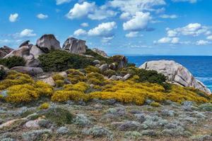 kustlinjen vid capo testa sardinien foto