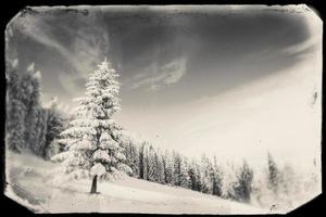 fantastiska snötäckta berg foto