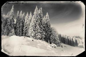 fantastiska snötäckta berg foto