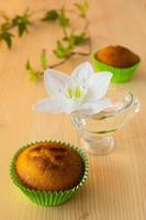 muffins, blomma, löv foto