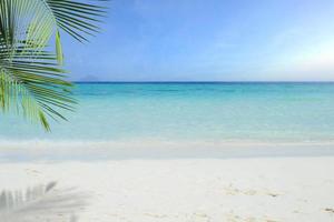 tropisk strand med kokospalm, hav och sand, sommarlovsbakgrund. resor och strandsemester, ledigt utrymme för text. foto
