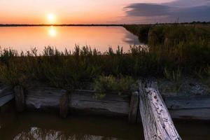 salterns av livmoderhalsen foto