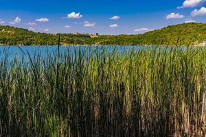 Grliste sjö nära zajacar i östra Serbien foto