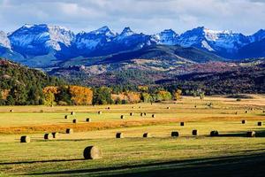 vacker höstfärg i san juan bergen i Colorado. foto