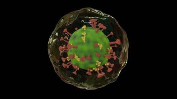 mikroskop virus närbild konceptkonst. patogena virus som orsakar infektion i värdorganismen, virus angriper röda blodkroppar, 3d-rendering foto
