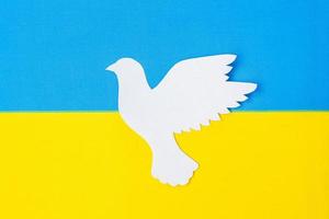 stöd för Ukraina i kriget med Ryssland, fredsduva med Ukrainas flagga. be, inget krig, stoppa kriget och stå med ukrainska koncept foto