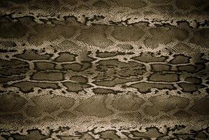 textur av print tyg ränder orm för bakgrund foto