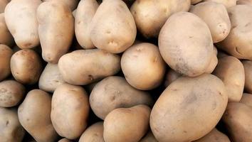 färsk ekologisk ungpotatis som säljs på marknaden. potatis råa grönsaker matmönster på marknaden. foto