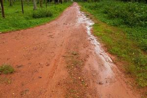 lerväg efter regn i thailand foto