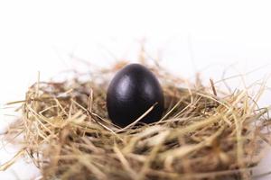 påskkomposition med ett kycklingsvart ägg i ett bo av hö på en vit träbakgrund foto