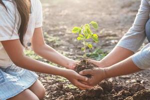 barn och mamma hjälper till att plantera unga träd. eko koncept foto