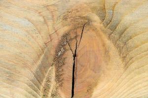 abstrakt bakgrund, textur av antikt trä har sprickyta, selektiv inriktning foto