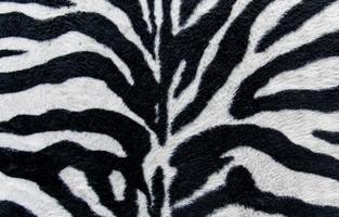 textur av print tyg ränder zebra för bakgrund foto