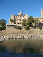 la seu-katedralen i Palma de Mallorca foto