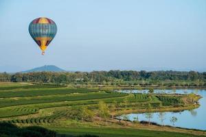 varmluftsballong flyger över fältet för grönt teplantage på landsbygden i Chiang Rai-provinsen, Thailand. foto