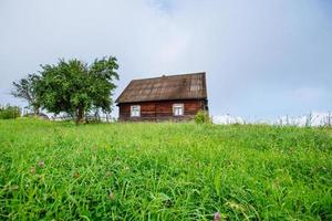 landskap med färgglada träd och hus foto