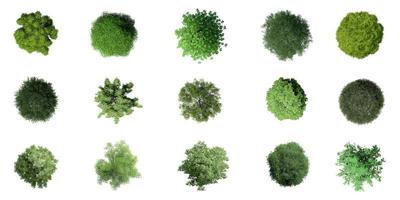 3D ovanifrån gröna träd isolerade på vit bakgrund, användning för visualisering i arkitektonisk design foto