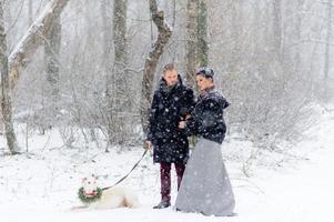 vinterpromenad i snöstorm med en hund foto